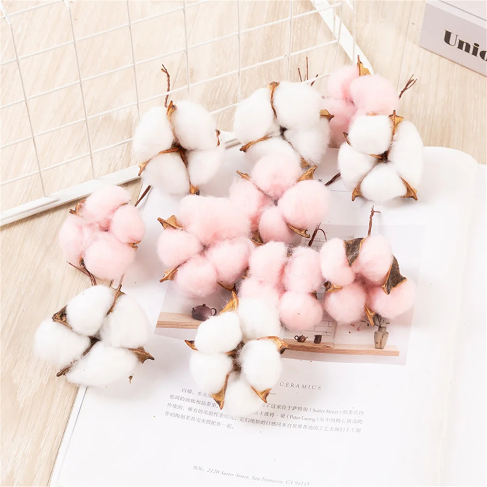 10PCS Natural Cotton Bolls Balls Dried Cotton Balls for Wreath Decor White Cotton Branch Picks Great for Craft Artificial Flower
10PCS Natural Cotton Bolls Balls Dried Cotton Balls for Wreath Decor White Cotton Branch Picks Great for Craft Artificial Flower