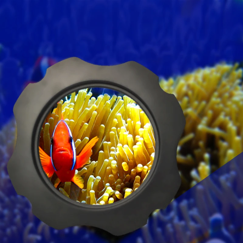 Aquarium look at the mirror.Coral aquarium magnifier. Coral viewing mirror.Fish tank magnifier.Aquarium 2 and 1 coral magnifier
Aquarium look at the mirror.Coral aquarium magnifier. Coral viewing mirror.Fish tank magnifier.Aquarium 2 and 1 coral magnifier