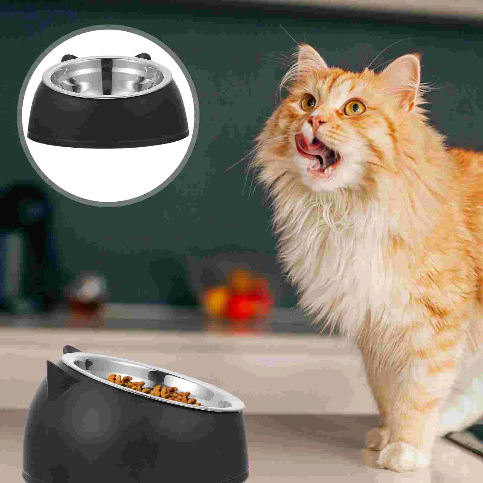 Raised Cat Dishes Puppy Feeder Tilted Cat Feeder Ceramic Cat Bowls Pet Stainless Steel Bowl Bowl Pet Supplies
Raised Cat Dishes Puppy Feeder Tilted Cat Feeder Ceramic Cat Bowls Pet Stainless Steel Bowl Bowl Pet Supplies