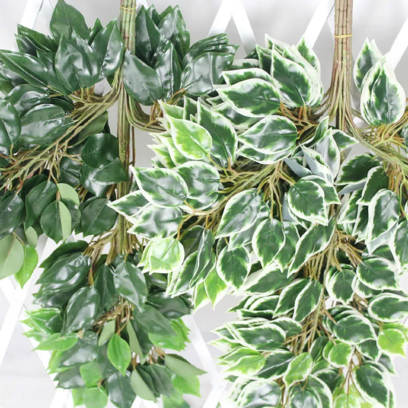 12pcs 60cm Green Leaves Silk Artificial White Banyan Tree Leaf Plant Branch Home Wedding Garden Backdrop Wall Hanging Decoration
12pcs 60cm Green Leaves Silk Artificial White Banyan Tree Leaf Plant Branch Home Wedding Garden Backdrop Wall Hanging Decoration