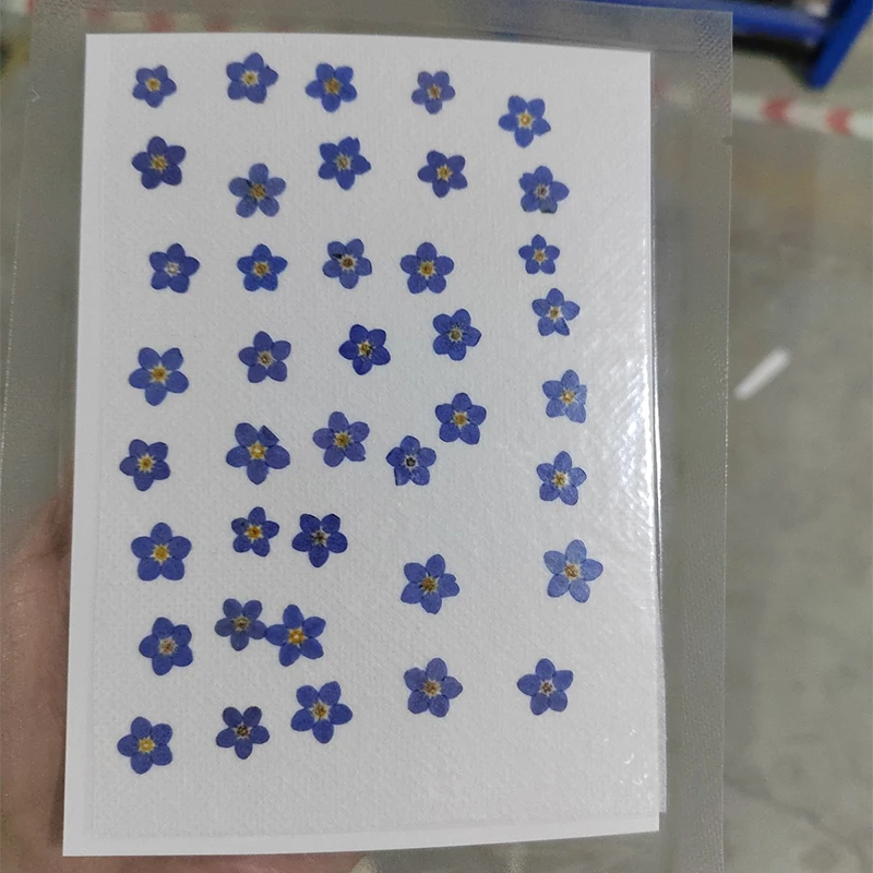 40PCS Forget Me Flower Head Dried Flowers for DIY Bookmark Wedding Card Jewelry Making Phone Case Decors Epoxy Resin Filling DIY 
40PCS Forget Me Flower Head Dried Flowers for DIY Bookmark Wedding Card Jewelry Making Phone Case Decors Epoxy Resin Filling DIY