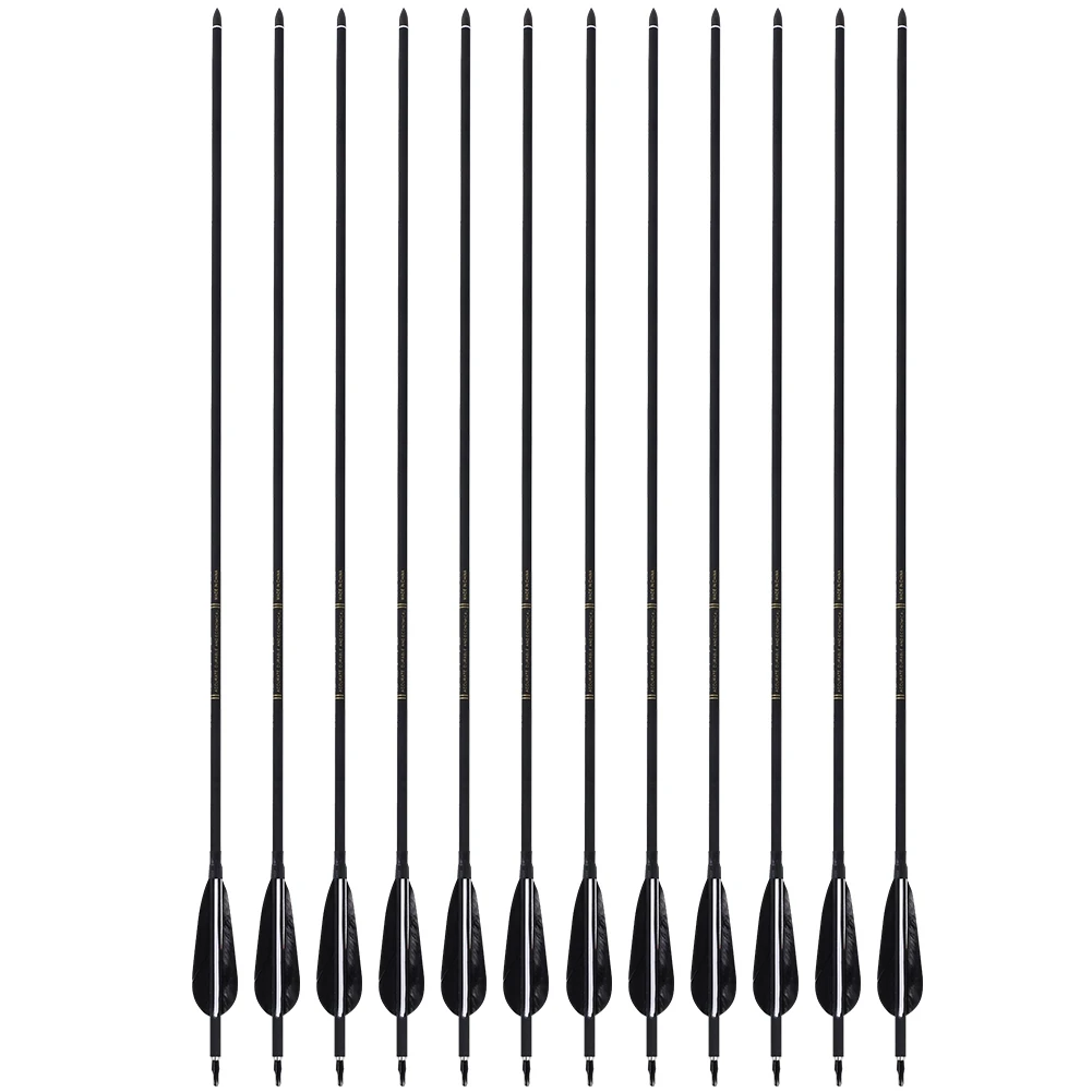 12pcs/lot 7.6mm Fletched 500 Spine Carbon Arrow for Recurve Bows Archery Hunting Carbon Carbon Carbon Carbon Carbon Carbon
12pcs/lot 7.6mm Fletched 500 Spine Carbon Arrow for Recurve Bows Archery Hunting Carbon Carbon Carbon Carbon Carbon Carbon