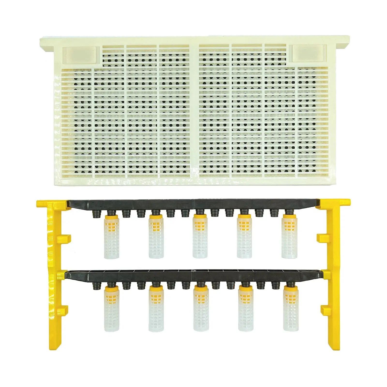 Beekeeping Queen Bee Set Portable Beekeeping Supplies Beekeeping Frame Bar Beekeeper Equipment Supplies for Outdoor Farm
Beekeeping Queen Bee Set Portable Beekeeping Supplies Beekeeping Frame Bar Beekeeper Equipment Supplies for Outdoor Farm