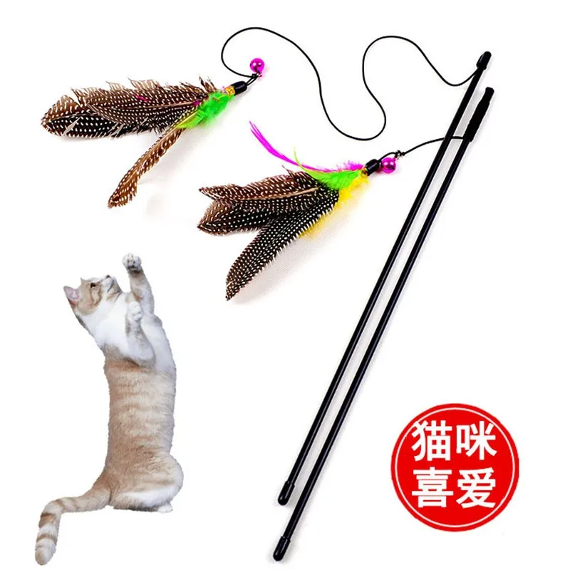 Pet Products Cat Supplies Toys Natural Pearls Big Birds Feathers Flying Toys Cat Teaser Sticks Interactive Toy 20pc/lot
Pet Products Cat Supplies Toys Natural Pearls Big Birds Feathers Flying Toys Cat Teaser Sticks Interactive Toy 20pc/lot