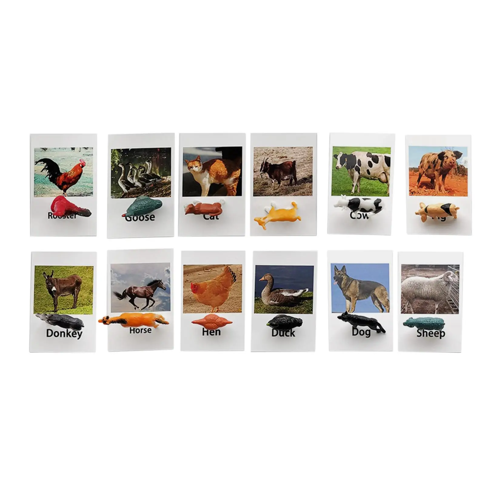 Animal Matching Card Realistic Animal Figures Educational Learn Cognitive Toys Animal Matching Game for Toddlers Kids
Animal Matching Card Realistic Animal Figures Educational Learn Cognitive Toys Animal Matching Game for Toddlers Kids