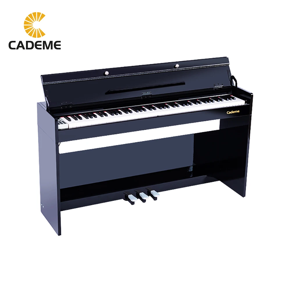 Black Digital Piano Professional Pianist 88 Key Weighted Electric Keyboard Beginner with Pedal,LCD Screen,Flip Cover 806
Black Digital Piano Professional Pianist 88 Key Weighted Electric Keyboard Beginner with Pedal,LCD Screen,Flip Cover 806