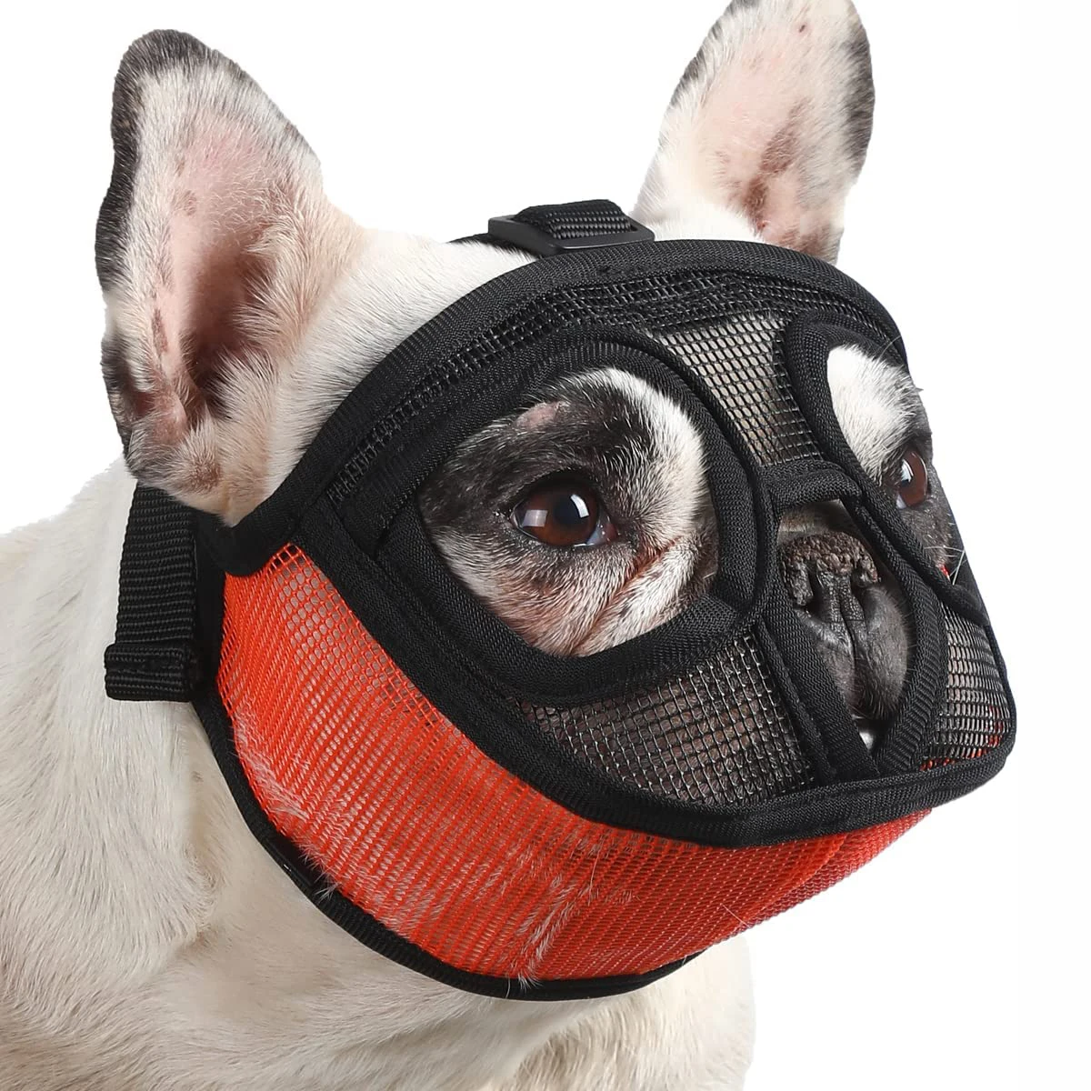 Short Snout Dog Muzzle Breathable Mesh Flat Faced Muzzle for French Bulldog Pug Mask Bulldog Muzzle for Biting Chewing Licking
Short Snout Dog Muzzle Breathable Mesh Flat Faced Muzzle for French Bulldog Pug Mask Bulldog Muzzle for Biting Chewing Licking