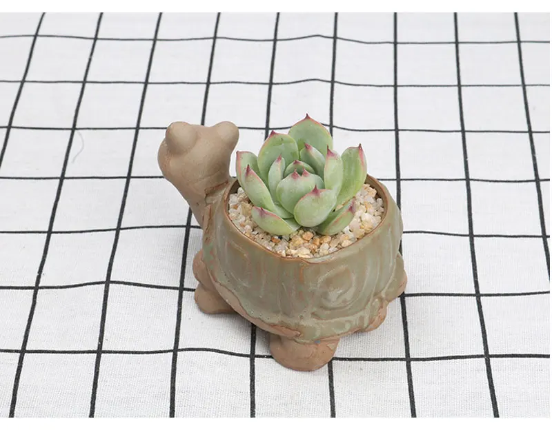 Cartoon cute turtle hedgehog snail baby elephant animal mini flower pot plant succulent potted balcony garden decoration
Cartoon cute turtle hedgehog snail baby elephant animal mini flower pot plant succulent potted balcony garden decoration