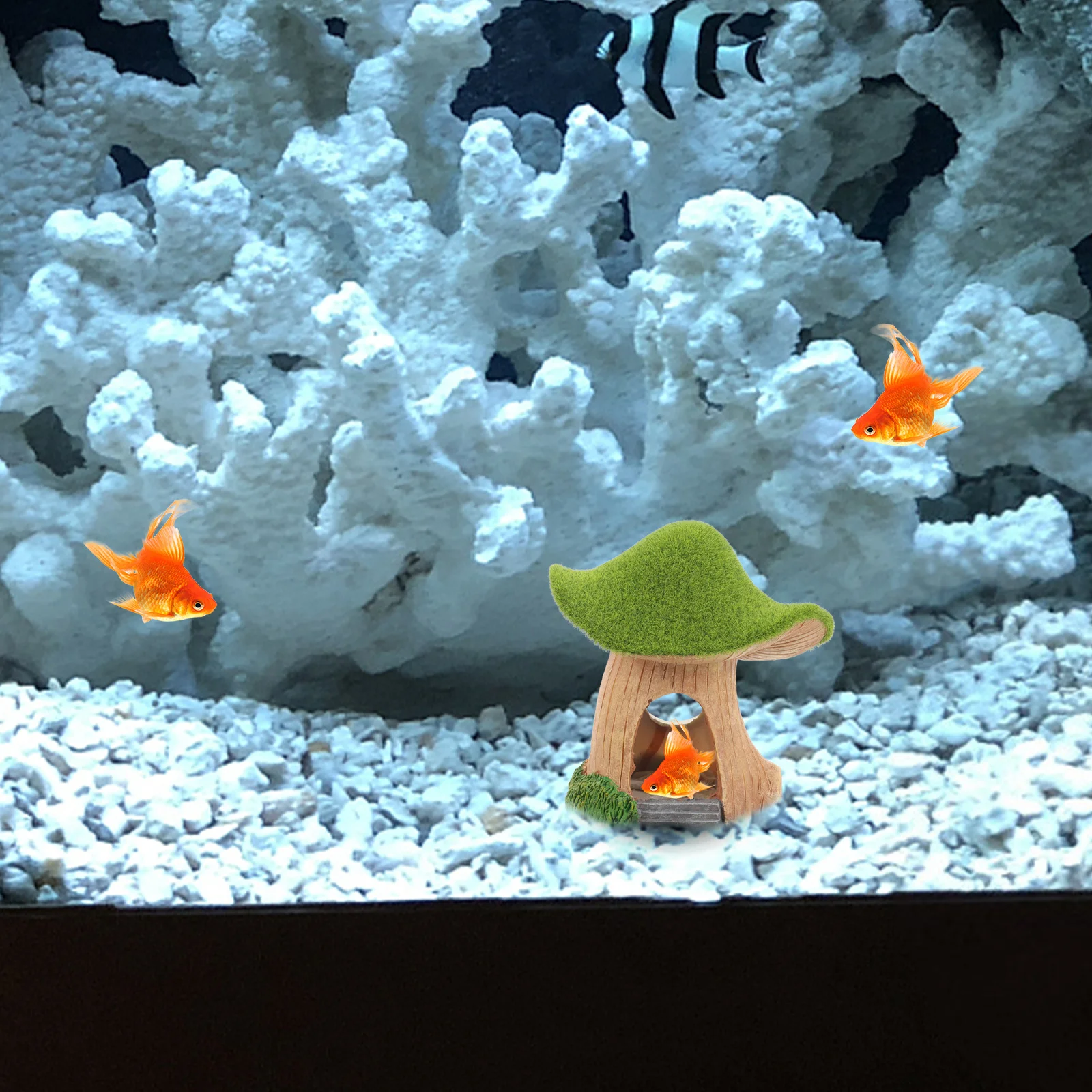 House Betta Fish Decor Aquarium Hide Decorate Tank Decorations Resin Accessories Shelter Hideout
House Betta Fish Decor Aquarium Hide Decorate Tank Decorations Resin Accessories Shelter Hideout