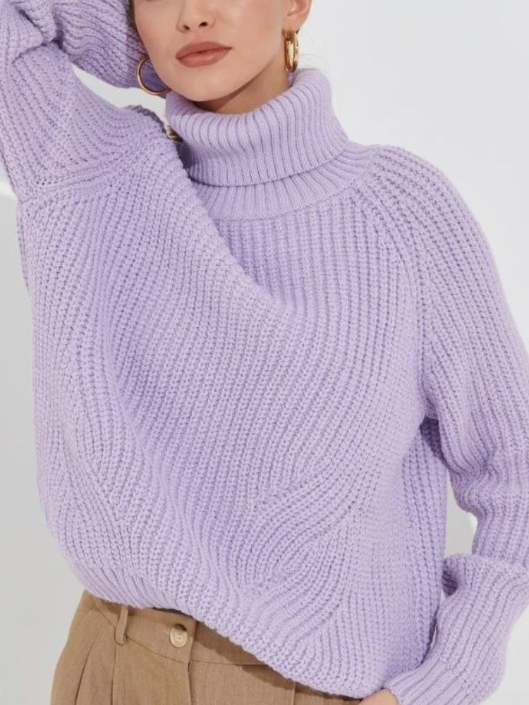 Winter Women Sweater Turtleneck Thermal Casual Loose Jumper Female Knitted Top Pullover Thick Warm Oversize Sweaters for Women
Winter Women Sweater Turtleneck Thermal Casual Loose Jumper Female Knitted Top Pullover Thick Warm Oversize Sweaters for Women
