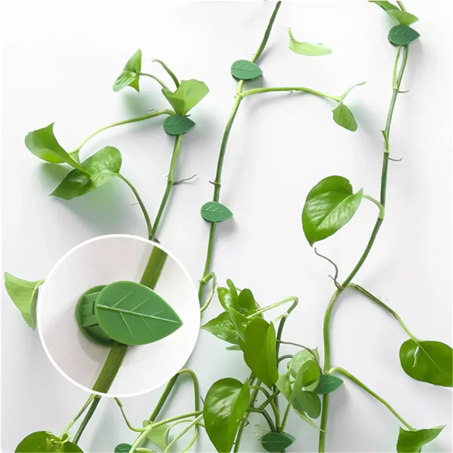 Plant Climbing Wall Fixture Leaf Shape Rattan Vine Clip Fastener Traction Holder Flower Hanger Glued Hook
Plant Climbing Wall Fixture Leaf Shape Rattan Vine Clip Fastener Traction Holder Flower Hanger Glued Hook
