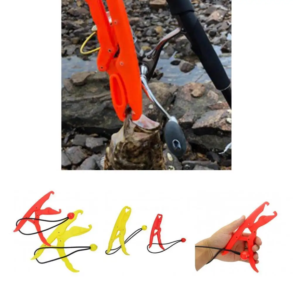 Fish Clamp Fishing Tackle Easy Operation Professional Fish Controller Fishing Pliers Fishing Equipment
Fish Clamp Fishing Tackle Easy Operation Professional Fish Controller Fishing Pliers Fishing Equipment