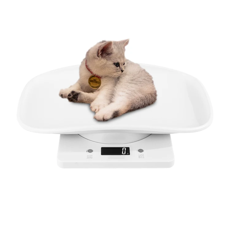 Pet Supplies Dog Cat Pet Bowl Food Weighing Scale Smart Digital Pet Scale CN(Origin) CN(Origin)
Pet Supplies Dog Cat Pet Bowl Food Weighing Scale Smart Digital Pet Scale CN(Origin) CN(Origin)
