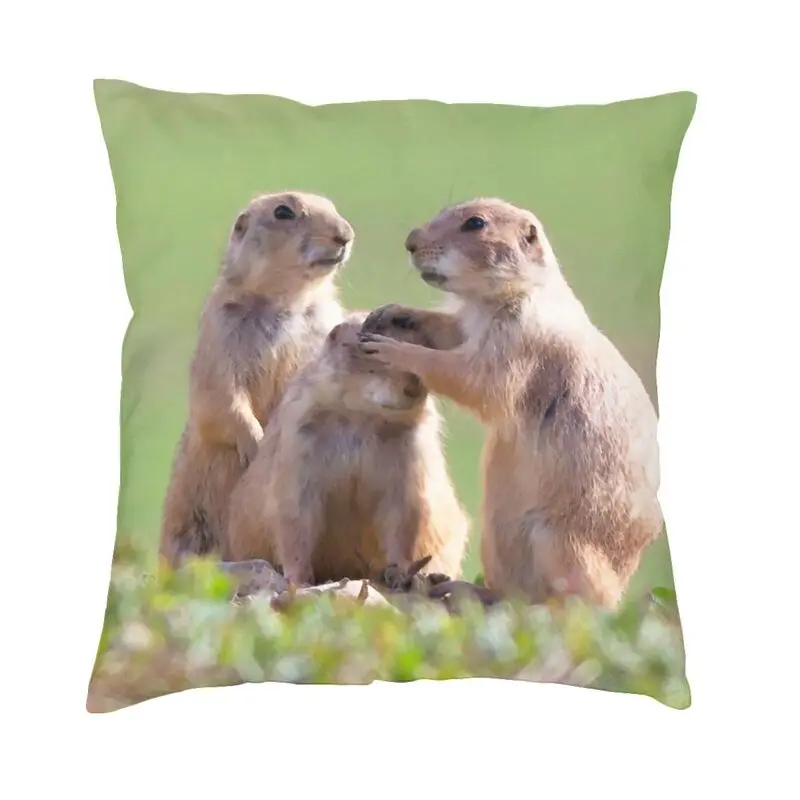 Watercolor Prarie Dog Cushion Cover 40x40cm Home Decorative Printing Head Massage Throw Pillow Case for Living Room Double Side
Watercolor Prarie Dog Cushion Cover 40x40cm Home Decorative Printing Head Massage Throw Pillow Case for Living Room Double Side
