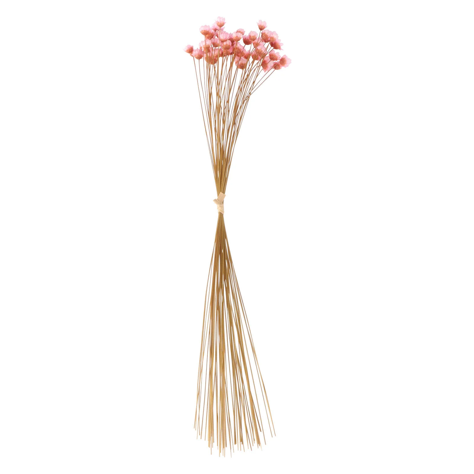 50 Pcs Artificial Plants Dried Flower Bouquet Romantic 40cm Valentine's Day Gift Decor Dry Pink Flowers Bride
50 Pcs Artificial Plants Dried Flower Bouquet Romantic 40cm Valentine's Day Gift Decor Dry Pink Flowers Bride
