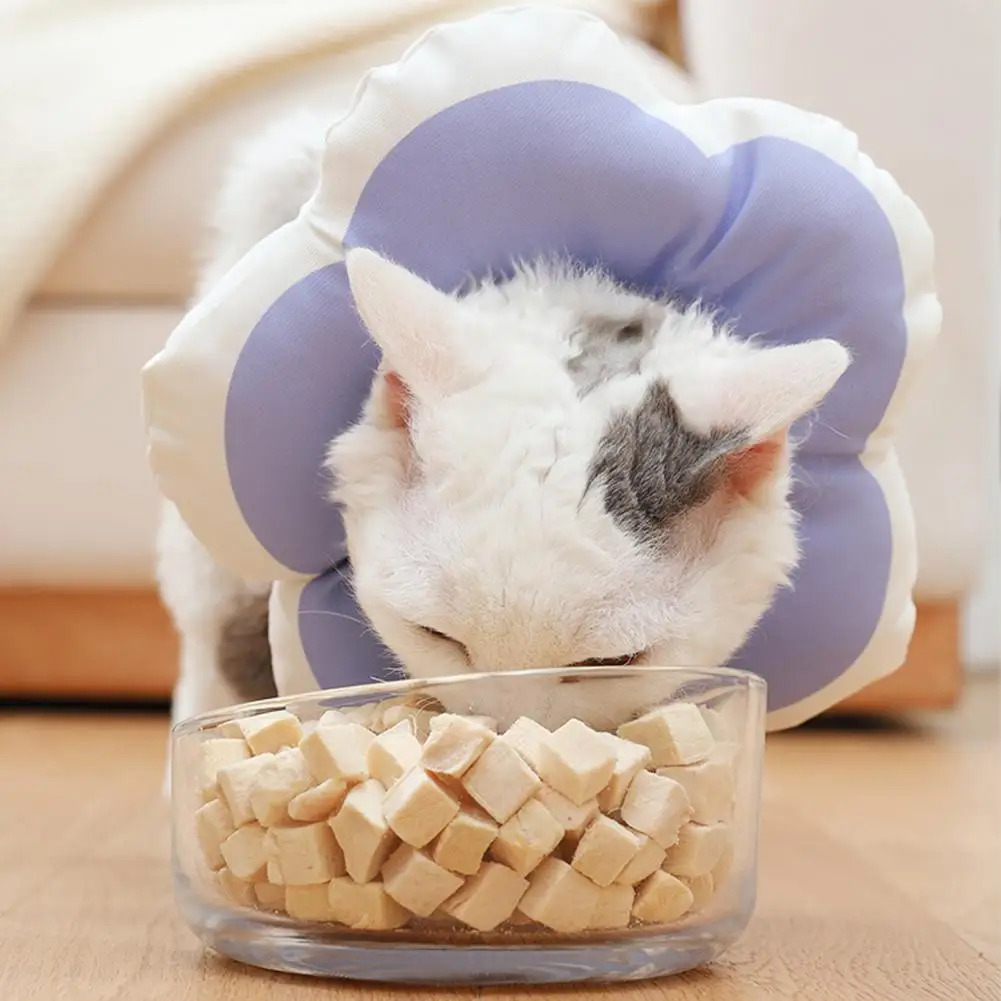 Cute Recovery Cone Good Flexibility Comfortable Pet Cat Dog Neck Cone Soft Pet Recovery Collar for Kitten
Cute Recovery Cone Good Flexibility Comfortable Pet Cat Dog Neck Cone Soft Pet Recovery Collar for Kitten