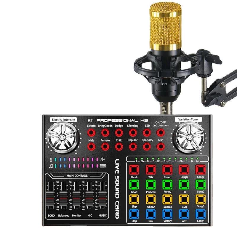 OEM Factory H9 Sound Card Studio BM800 Microphone Arm Stand Kit for Home Studio Broadcast Singing Recording
OEM Factory H9 Sound Card Studio BM800 Microphone Arm Stand Kit for Home Studio Broadcast Singing Recording