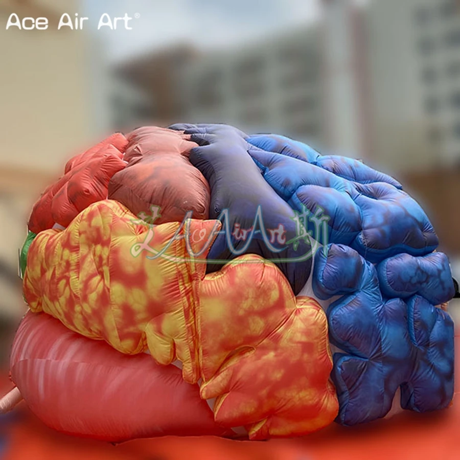 6mLx4mW Unique Inflatable Brain Tent Air Blown Brain Model For Health Fair Made By Ace Air Art
6mLx4mW Unique Inflatable Brain Tent Air Blown Brain Model For Health Fair Made By Ace Air Art