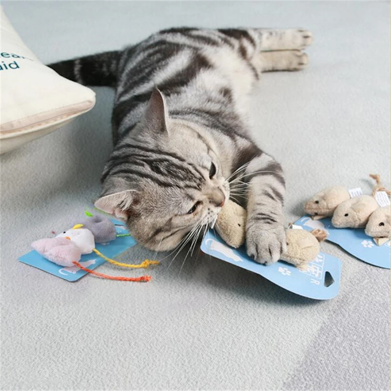 3 шт./партия, игрушки в виде кошачьей мяты
3 шт./партия, игрушки в виде кошачьей мяты