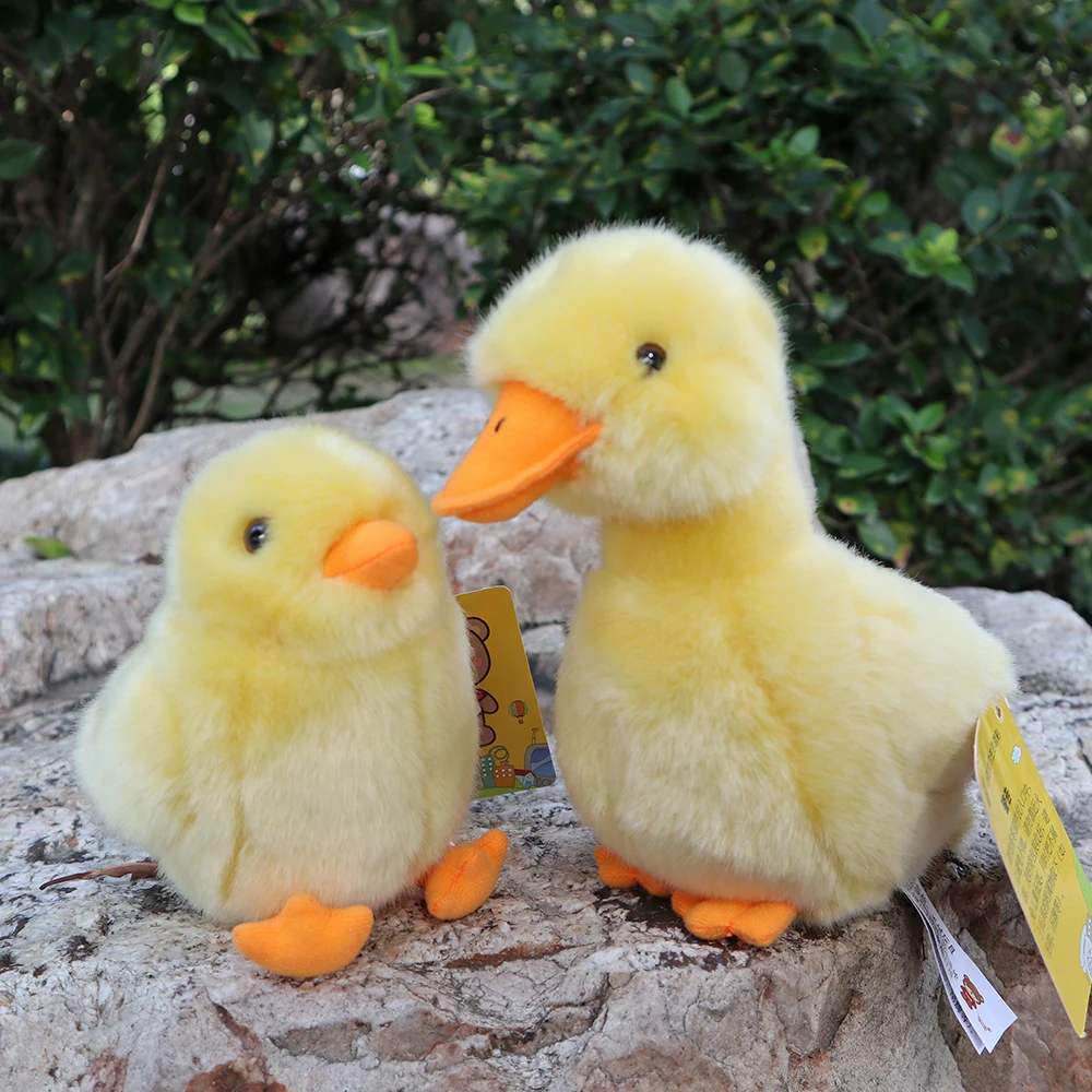 Extra Soft Small Yellow Duckling Plush Toys Lifelike Chick Stuffed Dolls Gifts Farm Animals Pets For Kids
Extra Soft Small Yellow Duckling Plush Toys Lifelike Chick Stuffed Dolls Gifts Farm Animals Pets For Kids