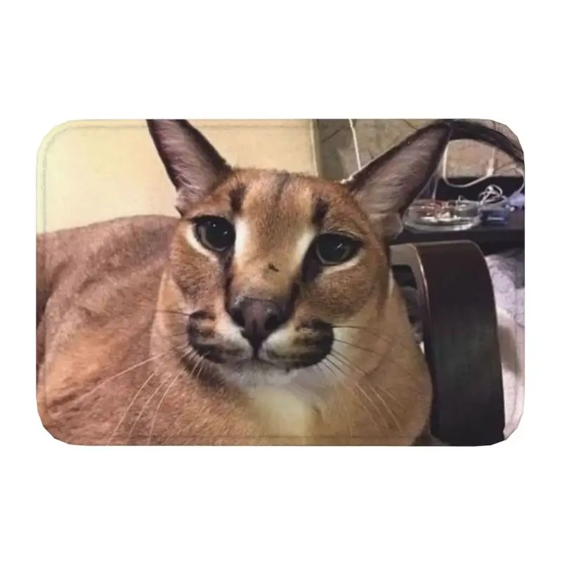 Fashion Caracal Front Door Floor Entrance Mats Outdoor Big Floppa Kitchen Bathroom Doormat Bedroom Carpet Rug
Fashion Caracal Front Door Floor Entrance Mats Outdoor Big Floppa Kitchen Bathroom Doormat Bedroom Carpet Rug