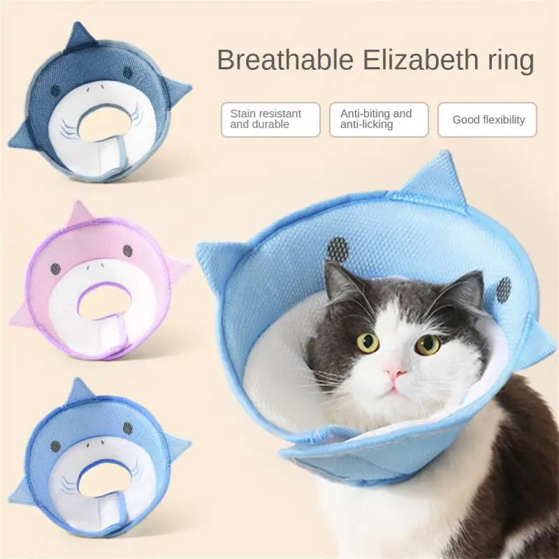 Lick And Bite Protection Elizabethan Collar Adjustable After Surgery Hat Neckwear Cat Elizabethan Collar With Adjustable Straps
Lick And Bite Protection Elizabethan Collar Adjustable After Surgery Hat Neckwear Cat Elizabethan Collar With Adjustable Straps