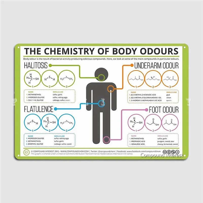 Химия запахов тела, металлический знак, Клубная пещера, паб, украшение для гаража на заказ, жестяной знак, плакат
Химия запахов тела, металлический знак, Клубная пещера, паб, украшение для гаража на заказ, жестяной знак, плакат