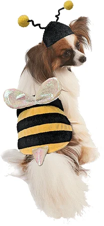 Waterproof Pet Car Seat Cover Pet Cushion Travel Carrier Portable Car Protector Mattress For Dogs In The Car Tools Dropshipping
Waterproof Pet Car Seat Cover Pet Cushion Travel Carrier Portable Car Protector Mattress For Dogs In The Car Tools Dropshipping