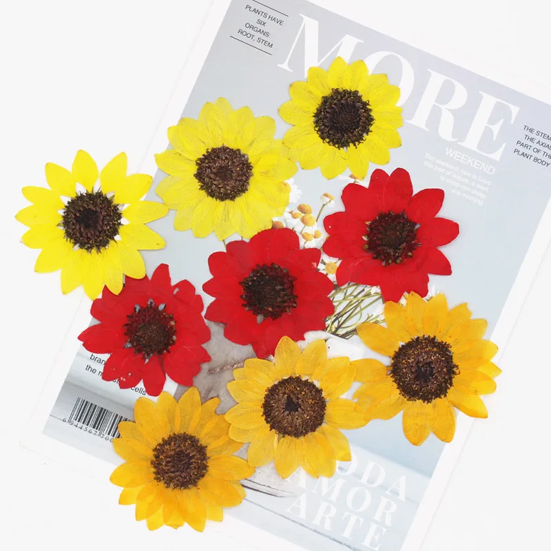 

500pcs/bag Sunflowers Pressed Dried Flowers Resin Natural Dried Flower Jewelry Bookmards Soap Photo Frame Candle Making Decor