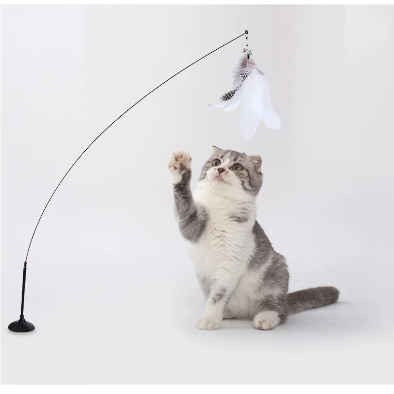 Sucker teasing cat stick Feather bell super long teasing cat stick Feather interactive teasing cat toy Funny Feather Bird
Sucker teasing cat stick Feather bell super long teasing cat stick Feather interactive teasing cat toy Funny Feather Bird