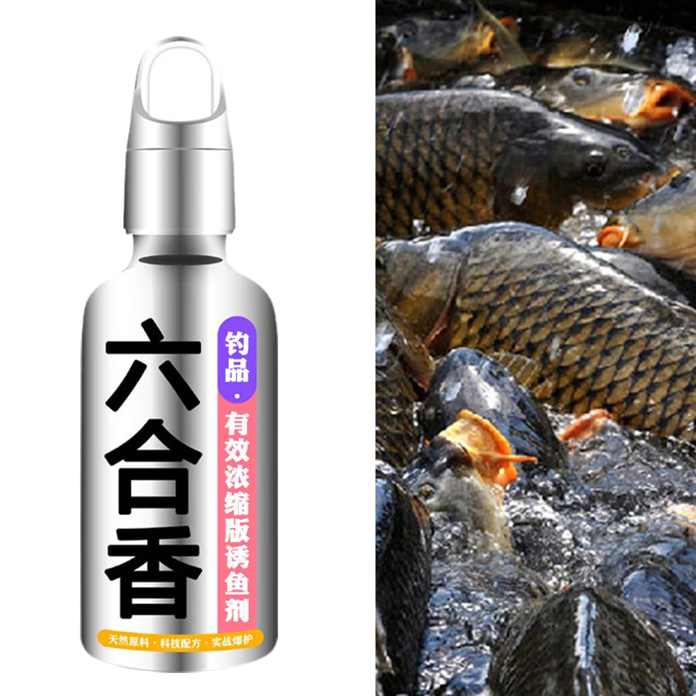 Fishing Bait Addictive Liquid Freshwater Fish Attractant Lures Baits Concentrate Fishing Scent Liquid Additive
Fishing Bait Addictive Liquid Freshwater Fish Attractant Lures Baits Concentrate Fishing Scent Liquid Additive