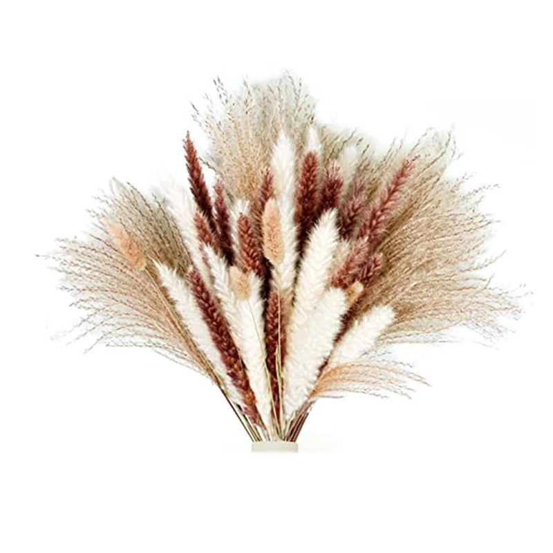 75 Pcs Pampas Grass,Dried Pampas Grass Pampas Branches for Vase Flower Arrangement Wedding Kitchen Home Decor
75 Pcs Pampas Grass,Dried Pampas Grass Pampas Branches for Vase Flower Arrangement Wedding Kitchen Home Decor