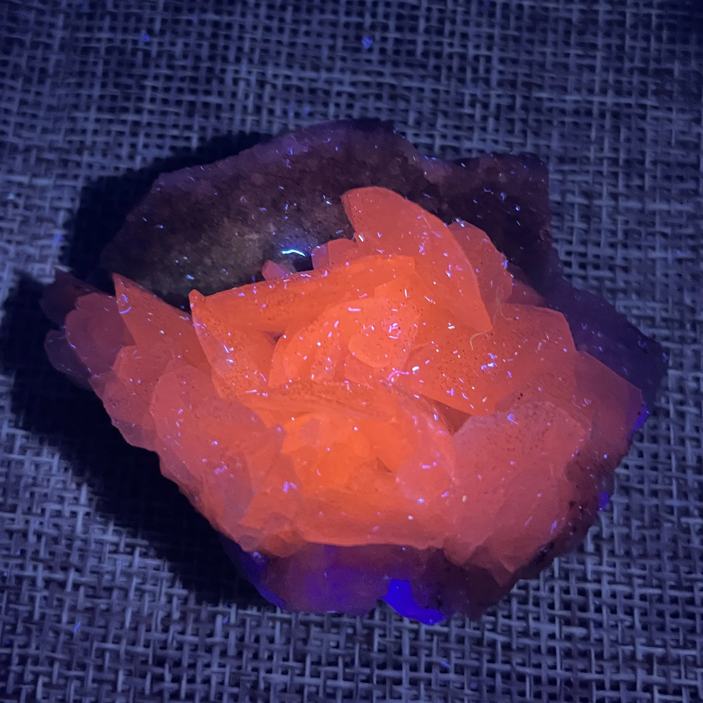 Розовый кальцит с пиритным символиком XX1-7
Розовый кальцит с пиритным символиком XX1-7