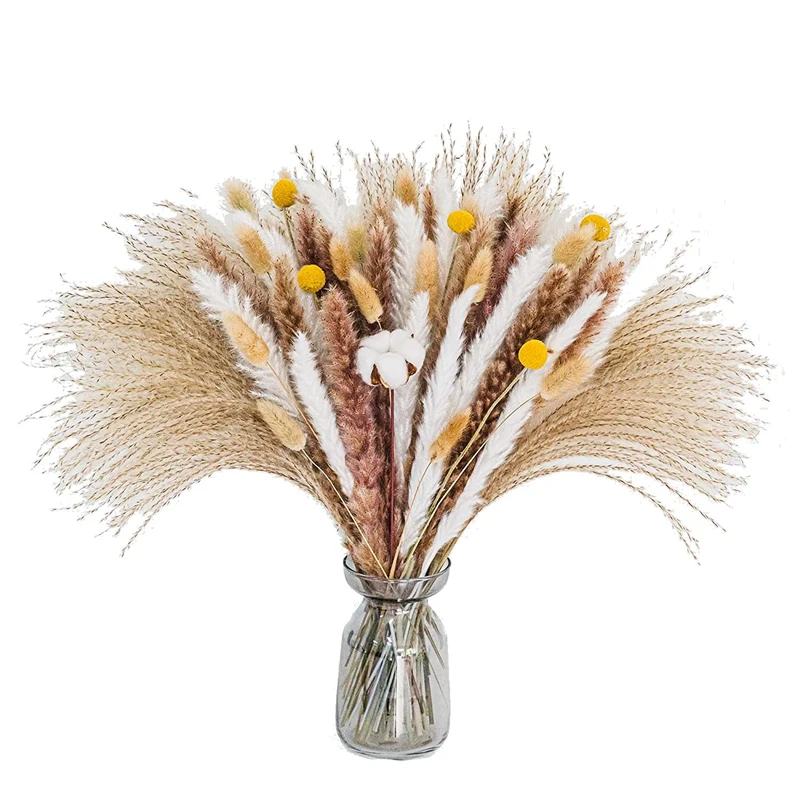 Dried Pampas Grass Bouquet Boho Home Decor Bouquet Phragmites Dried Flowers Bouquet For Wedding Floral 91 PCS
Dried Pampas Grass Bouquet Boho Home Decor Bouquet Phragmites Dried Flowers Bouquet For Wedding Floral 91 PCS