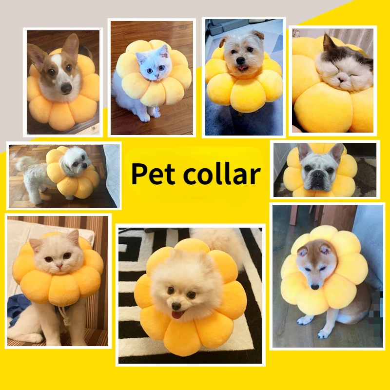 Pet Cat Collar Sunflower Shaped Recovery Adjustable Cotton Neck Prevent Bite Recover Cat Dog Elizabeth Pet Protection Collars
Pet Cat Collar Sunflower Shaped Recovery Adjustable Cotton Neck Prevent Bite Recover Cat Dog Elizabeth Pet Protection Collars