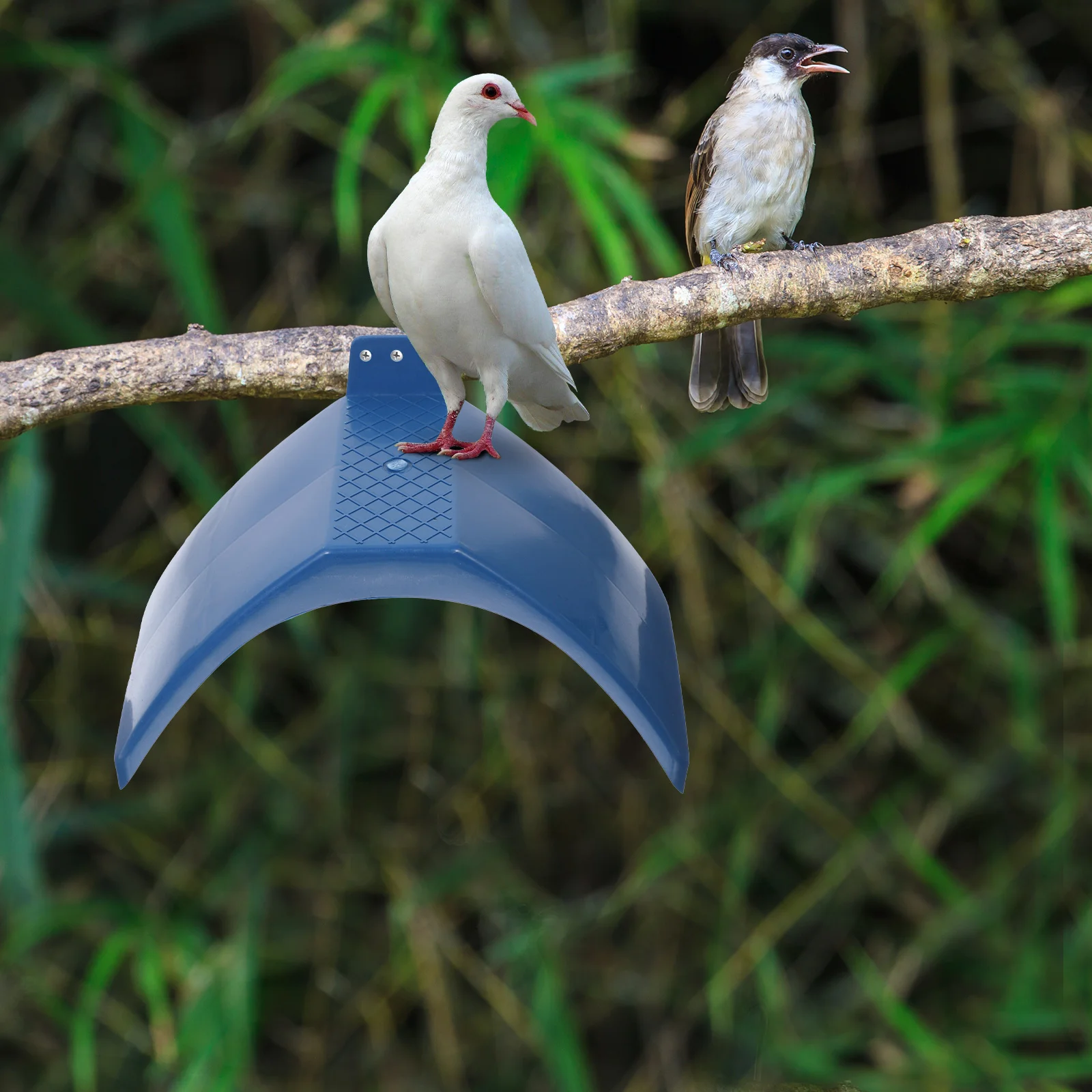 Pigeon Rest Stand Frame: 10 Pigeon Perches Bird Dwelling Stand Support Cage Supplies ( Blue )
Pigeon Rest Stand Frame: 10 Pigeon Perches Bird Dwelling Stand Support Cage Supplies ( Blue )