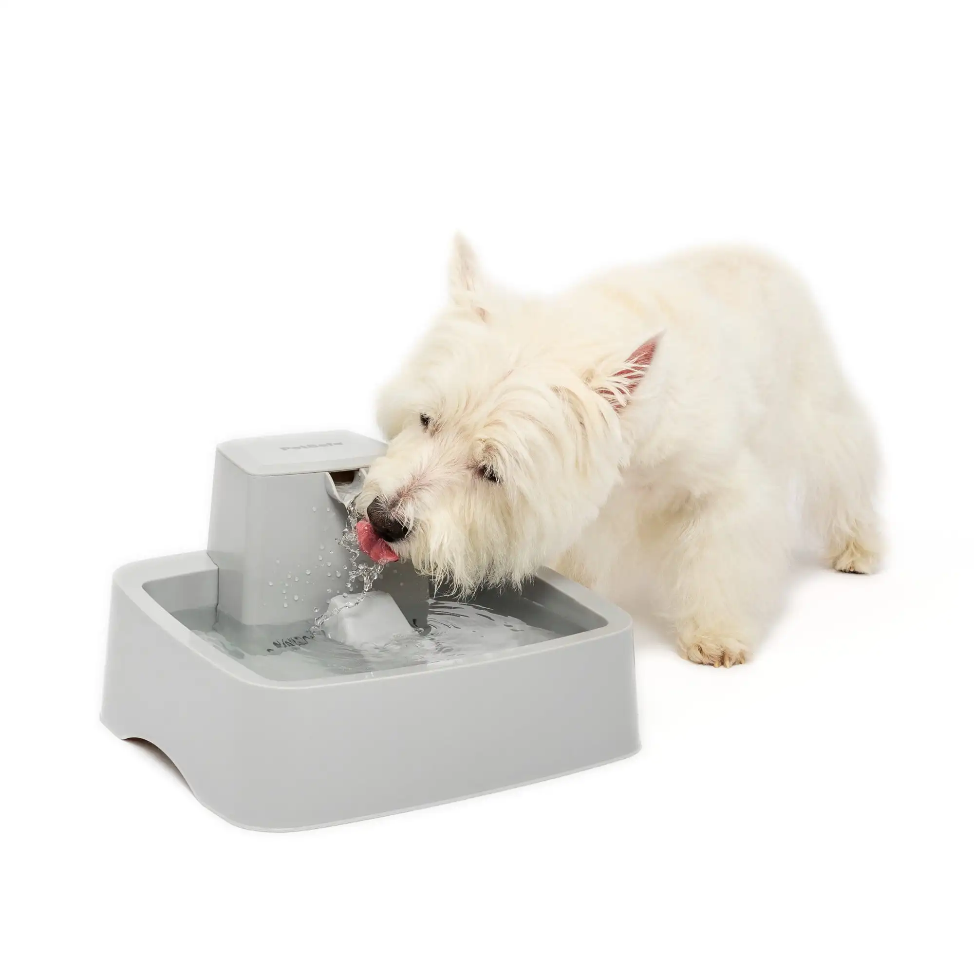 Drinkwell 1 Gallon Pet Fountain - Automatic Dog and Cat Water Bowl
Drinkwell 1 Gallon Pet Fountain - Automatic Dog and Cat Water Bowl