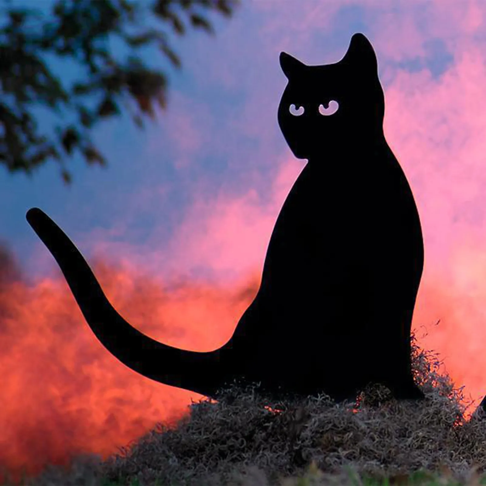 Metal Halloween Witch Cat Boiler Specter Decorative Garden Stakes Outdoor Garden Decor Halloween Silhouette Stake For Yards
Metal Halloween Witch Cat Boiler Specter Decorative Garden Stakes Outdoor Garden Decor Halloween Silhouette Stake For Yards