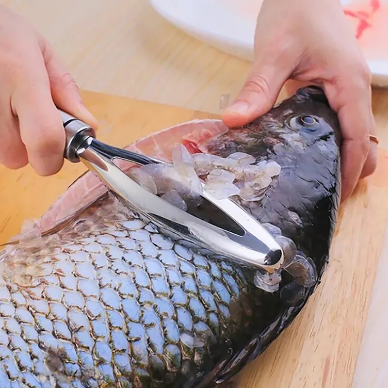 Efficient Fish Scales Scraping Stainless Scaler for Fish Cleaning Tools Fish Skin Brush Fish Tongs Tweezers Scaler Fishing Tools
Efficient Fish Scales Scraping Stainless Scaler for Fish Cleaning Tools Fish Skin Brush Fish Tongs Tweezers Scaler Fishing Tools
