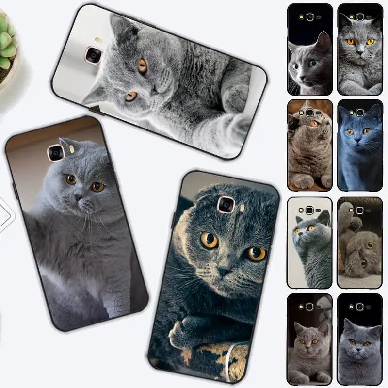 FHNBLJ British Shorthair Cat Phone Case for Samsung J 2 3 4 5 6 7 8 prime plus 2018 2017 2016 core 
FHNBLJ British Shorthair Cat Phone Case for Samsung J 2 3 4 5 6 7 8 prime plus 2018 2017 2016 core