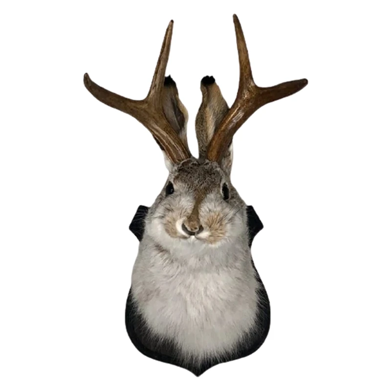 Devil Rabbit Wall Decor The Latest Legend Of Antlers Creative Resin Hanging Ornaments Wall Art Ornaments For Home
Devil Rabbit Wall Decor The Latest Legend Of Antlers Creative Resin Hanging Ornaments Wall Art Ornaments For Home