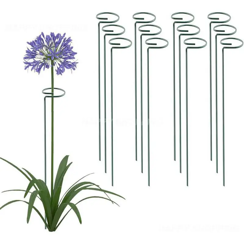 Climbing Vine Rack Convenient Durable Decorative Small Gardening Tools Support Rod 40 Cm Creative Plastic Coated Iron Holder New
Climbing Vine Rack Convenient Durable Decorative Small Gardening Tools Support Rod 40 Cm Creative Plastic Coated Iron Holder New