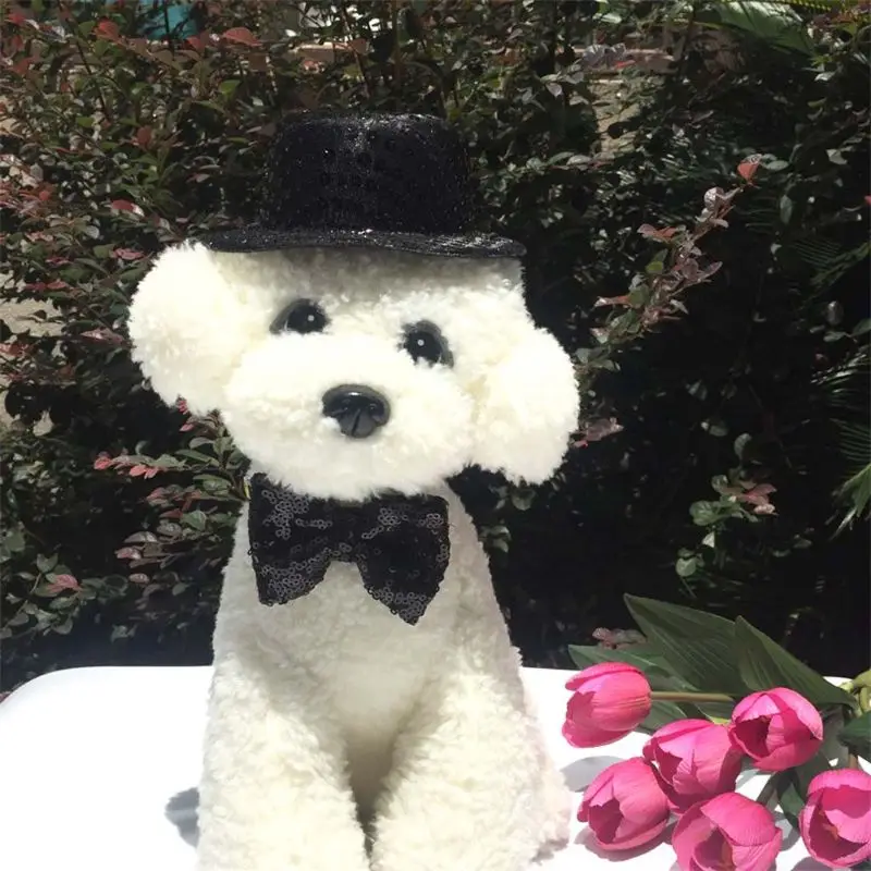 Dog Bow Ties & Top Hat Adjustable Pet Bow Ties Pet Cosplay Collars Dog Cosplay Costumes for Cat Dog Christmas Birthday
Dog Bow Ties & Top Hat Adjustable Pet Bow Ties Pet Cosplay Collars Dog Cosplay Costumes for Cat Dog Christmas Birthday