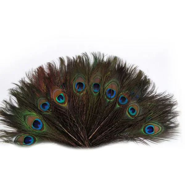 100pcs 25-30cm Beautiful Natural Tail Feathers Eyes Feathers Decorations for Craft / Art / Dress / Hats / Bridal Costume / Party
100pcs 25-30cm Beautiful Natural Tail Feathers Eyes Feathers Decorations for Craft / Art / Dress / Hats / Bridal Costume / Party