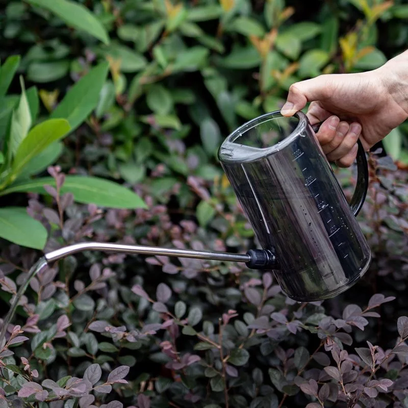 Stainless Steel Long Mouth Watering Can Transparent Garden 1000ml High-capacity Green Plants Flowers Water Kettle Gardening Tool
Stainless Steel Long Mouth Watering Can Transparent Garden 1000ml High-capacity Green Plants Flowers Water Kettle Gardening Tool