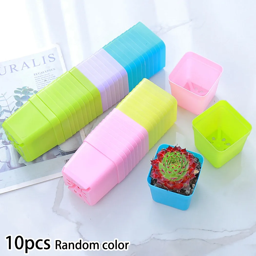 10pcs 5.5cm Mini Square Flowerpot With Hole Succulent Plant Trays Planter Colorful Plastic Nursery Pot Home Office Decor
10pcs 5.5cm Mini Square Flowerpot With Hole Succulent Plant Trays Planter Colorful Plastic Nursery Pot Home Office Decor