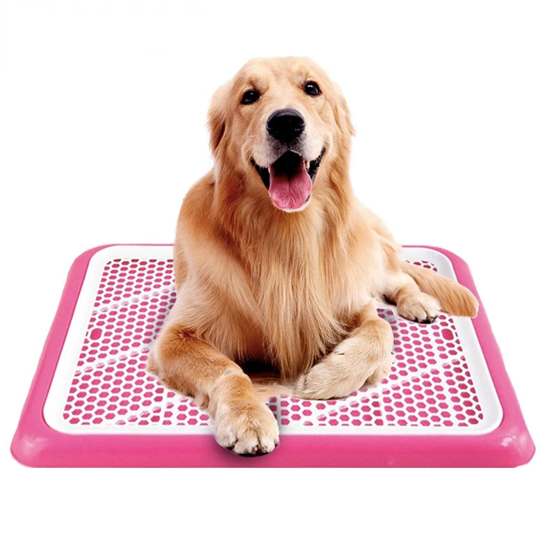 Toilet Potty Pet Litter Box Potty Dogs Cat Tray Indoor Dog 50x36x3cm Lattice Training Toilet Potty Puppy Training Dog Cats For
Toilet Potty Pet Litter Box Potty Dogs Cat Tray Indoor Dog 50x36x3cm Lattice Training Toilet Potty Puppy Training Dog Cats For