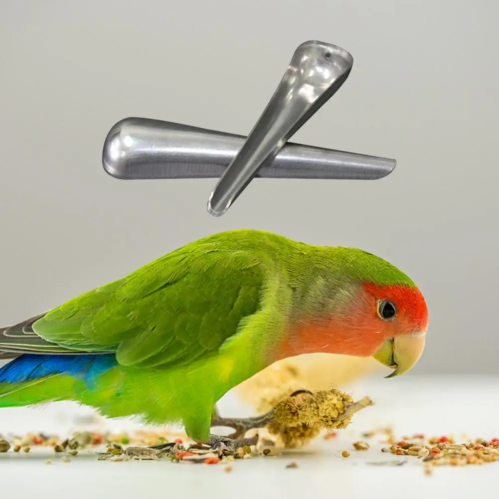 Stainless Steel Bird Cage Feeder Wear Resistance Feeding Adding Scoop Food Supply Tool Bird Feed Containers For Parrot Starlings
Stainless Steel Bird Cage Feeder Wear Resistance Feeding Adding Scoop Food Supply Tool Bird Feed Containers For Parrot Starlings
