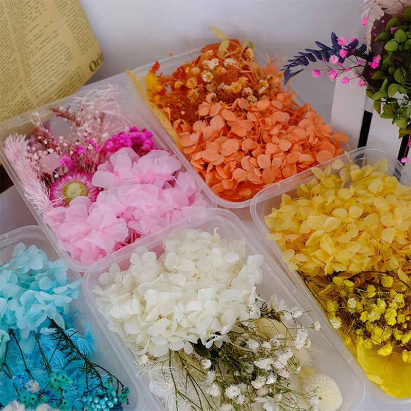 Mixed Eternal Dried Flower Materials Gypsophil Hydrangea Lover Grass For Wedding Invitation Gift Card Scented Candle Decoration
Mixed Eternal Dried Flower Materials Gypsophil Hydrangea Lover Grass For Wedding Invitation Gift Card Scented Candle Decoration