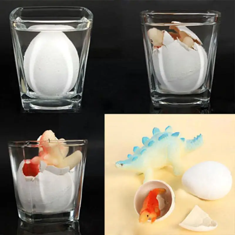 6 Pcs Hatching Inflation Add Water Growing Dinosaur Eggs Practical Joke Toy For Kids Gift Educational Novelty Toys Js0417 I7e8
6 Pcs Hatching Inflation Add Water Growing Dinosaur Eggs Practical Joke Toy For Kids Gift Educational Novelty Toys Js0417 I7e8